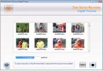 Thumbnail of ddimsc-picrec-screen.jpg